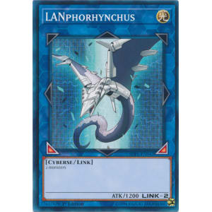 LANphorhynchus