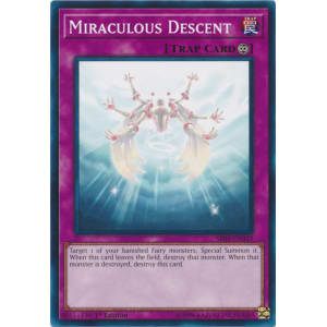 Miraculous Descent