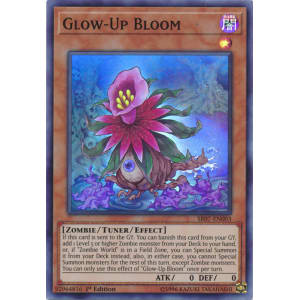 Glow-Up Bloom
