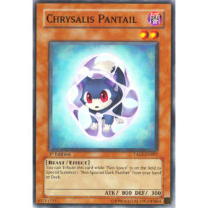 Chrysalis Pantail