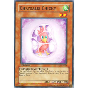 Chrysalis Chicky