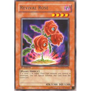 Revival Rose