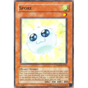 Spore