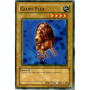 Giant Flea