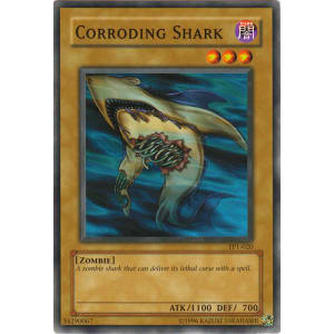 Corroding Shark