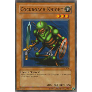 Cockroach Knight