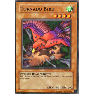 Tornado Bird