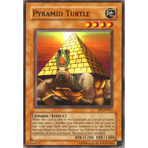 Pyramid Turtle