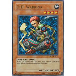 D.D. Warrior