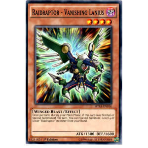 Raidraptor - Vanishing Lanius