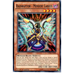 Raidraptor - Mimicry Lanius