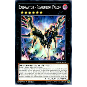 Raidraptor - Revolution Falcon