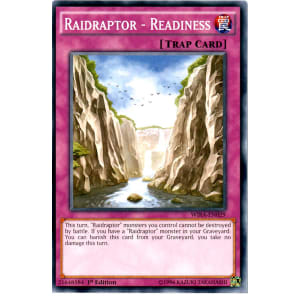 Raidraptor - Readiness