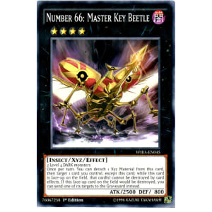 Number 66: Master Key Beetle