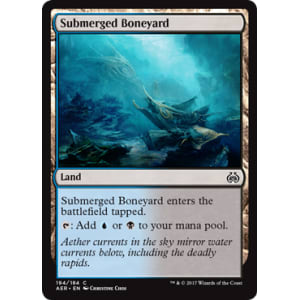 Submerged Boneyard