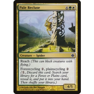 Pale Recluse