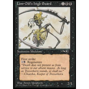 Lim-Dul's High Guard