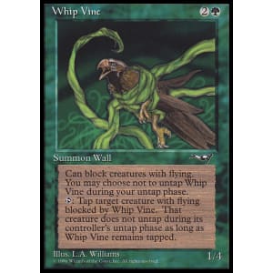 Whip Vine