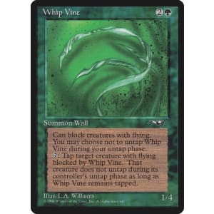 Whip Vine