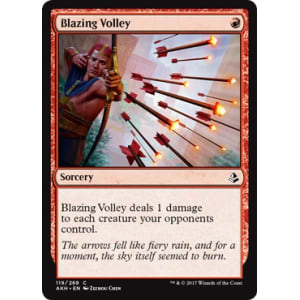 Blazing Volley