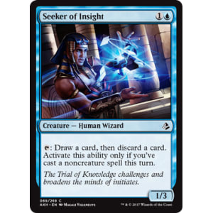 Seeker of Insight