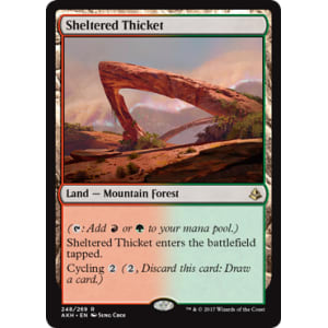 Sheltered Thicket