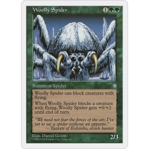 Woolly Spider