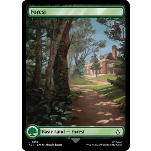 Forest