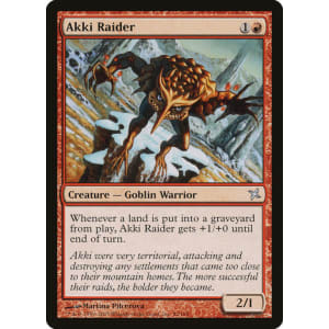 Akki Raider