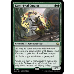 Keen-Eyed Curator