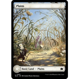Plains