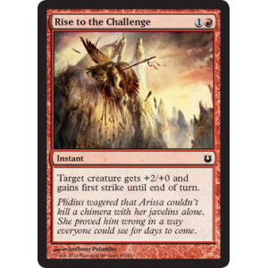 Rise to the Challenge