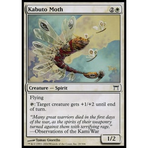 Kabuto Moth