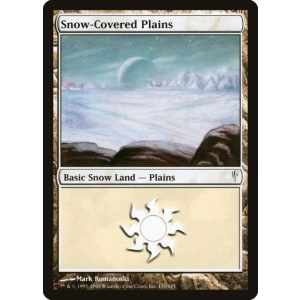 Snow-Covered Plains