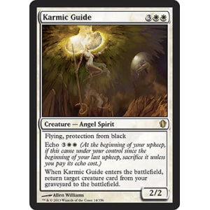 Karmic Guide