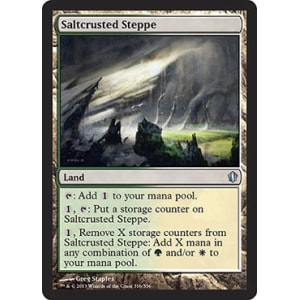 Saltcrusted Steppe