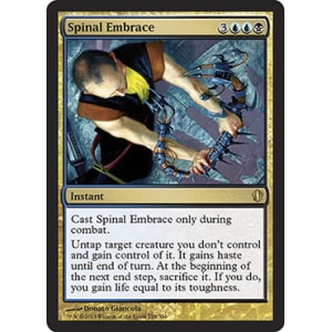 Spinal Embrace