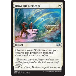 Brave the Elements