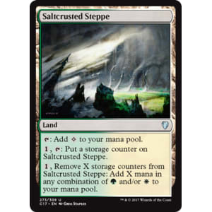 Saltcrusted Steppe