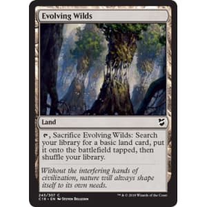 Evolving Wilds