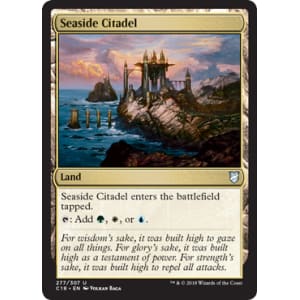 Seaside Citadel