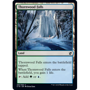 Thornwood Falls