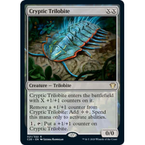 Cryptic Trilobite