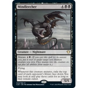 Mindleecher