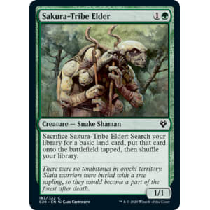 Sakura-Tribe Elder