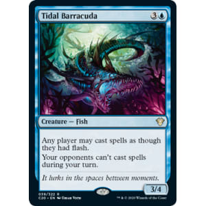 Tidal Barracuda