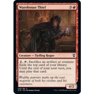 Warehouse Thief