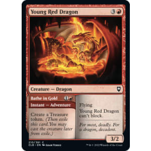 Young Red Dragon