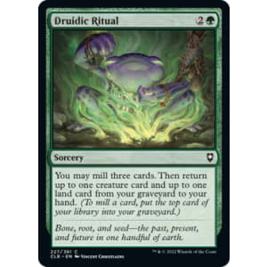 Druidic Ritual