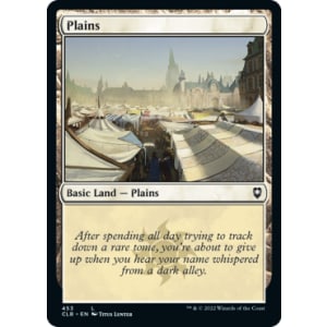 Plains